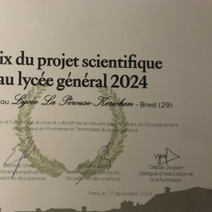 info document